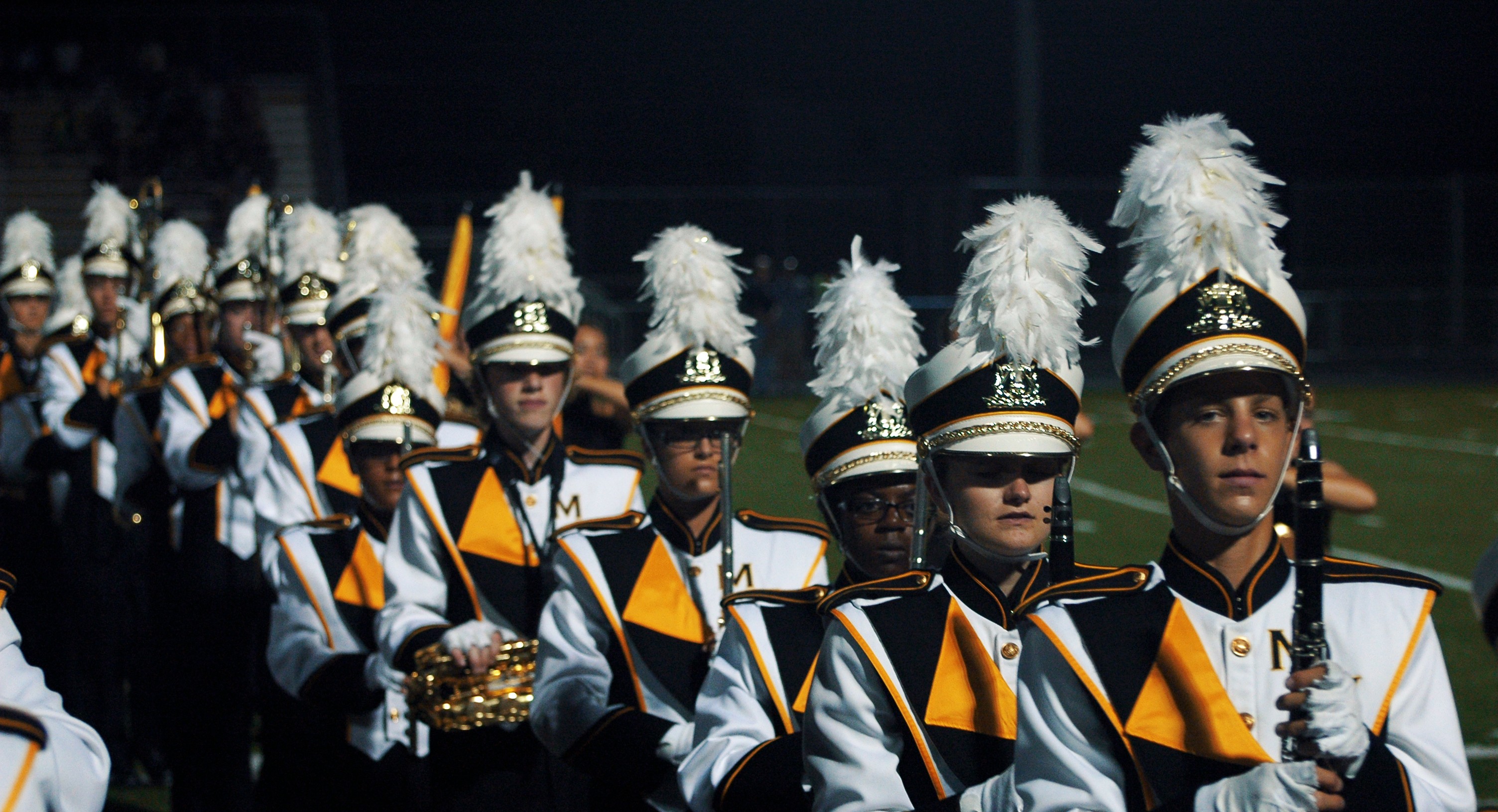 March of the Mustangs