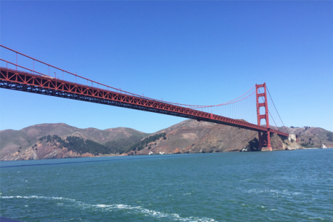 Recapping a not so bummer summer