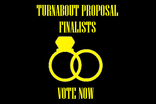 *Closed* Vote for the BEST Turnabout Proposals