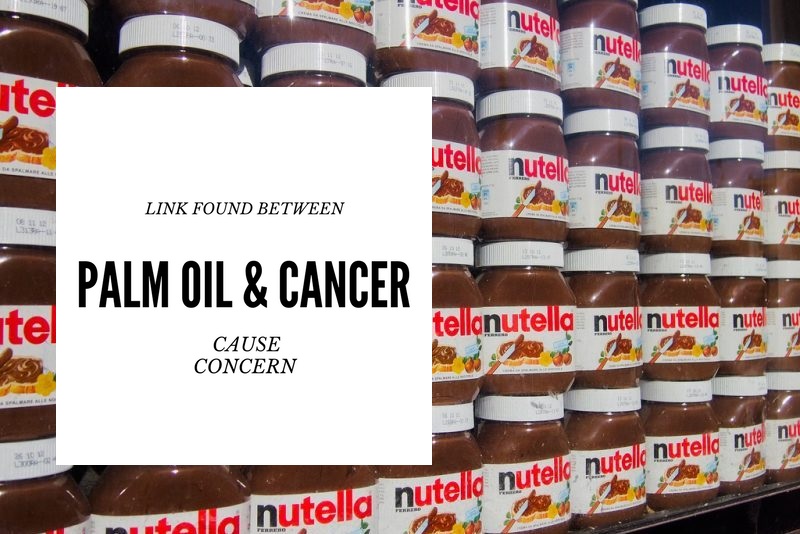 Link+found+between+palm+oil+and+cancer+cause+concern