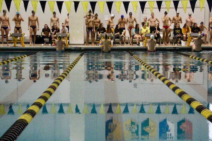 Boys%E2%80%99+Swim+competes+at+Sectionals%2C+advancing+to+State