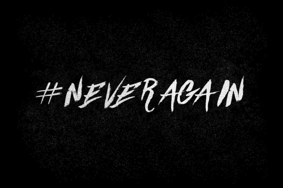 Student+Activism%3A+Walking+out+for+those+who+no+longer+can