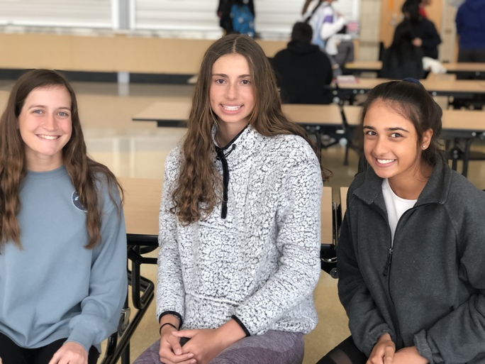 Taylor Goldman, Isabella Palm, and Meera Baid all made it to state this past weekend.