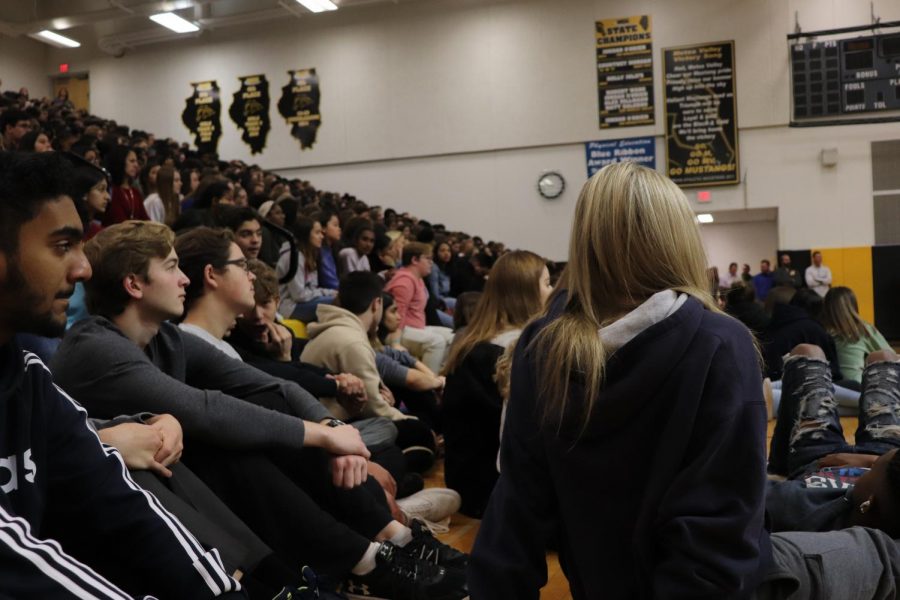 Students watch the Veterans Day assembly