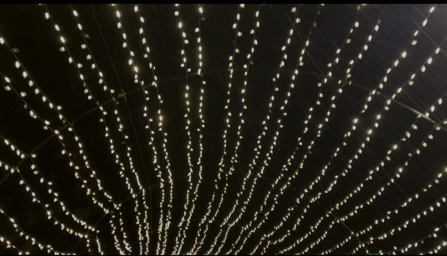 Photography and media team visits winter lights around town