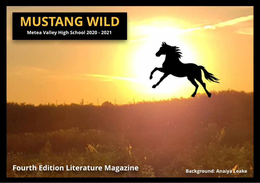 Mustang Wild: Issue 4