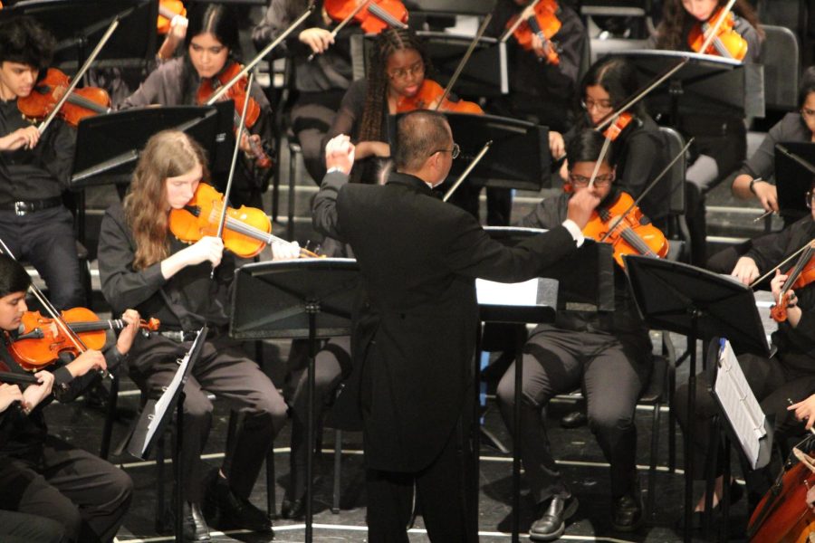 The conductor directing the Orchestra  