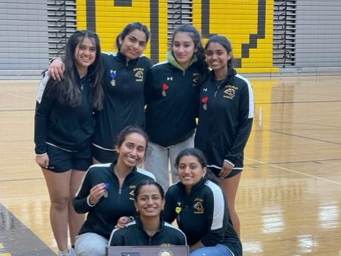 Metea badminton announced as sectionals champions