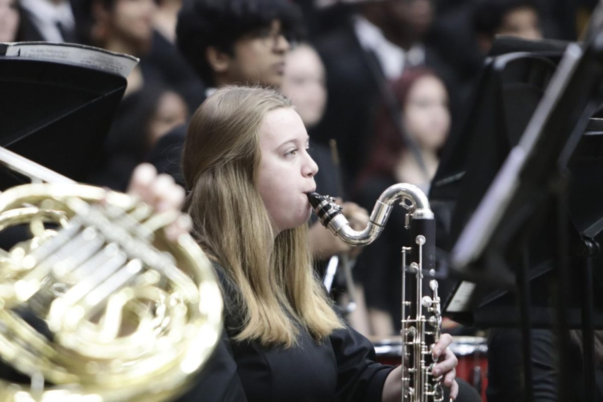 A band student plays at the Veterans Day assembly