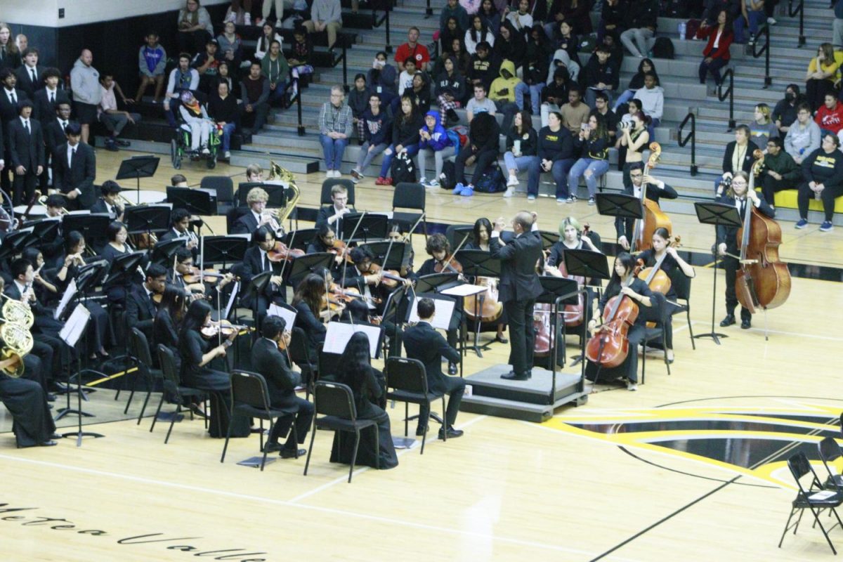 Full view of the Orchestra performing at the Veteran’s Day assembly 
