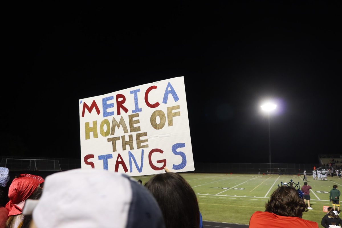 Students made USA-themed signs for last week's football game at home.