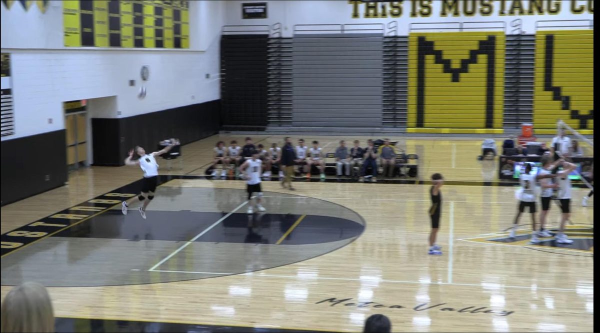 Mustangs lost in hard fought battle against Hinsdale South Hornets.