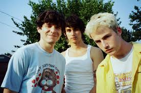 Wallows