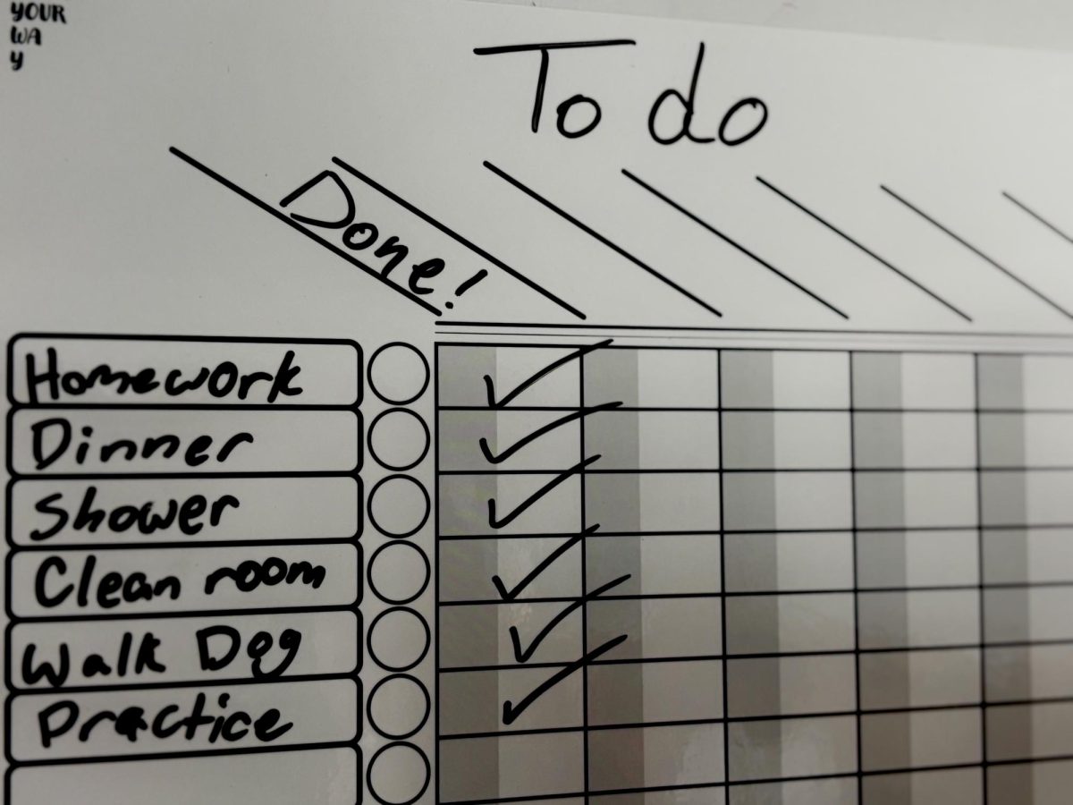 Stay Organized