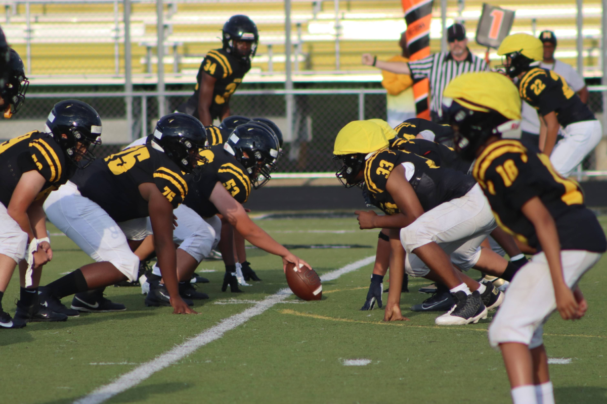 Football players line up in the center, waiting for the blow of the whistle. 