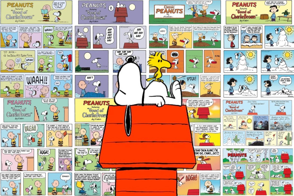 Snoopy, from the well known Peanuts franchise, is loved by many but often has characterized misconceptions.