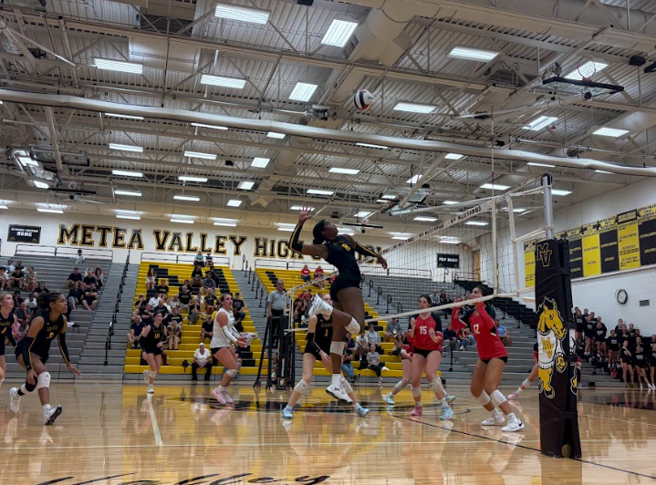 Senior Olivia Stewart prepares to spike the ball.