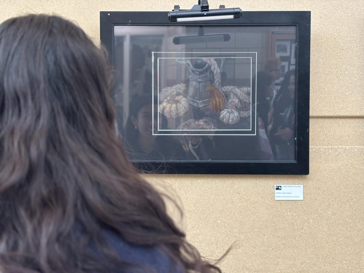 The Dark Horse Gallery showcases outstanding art pieces made by Metea students.