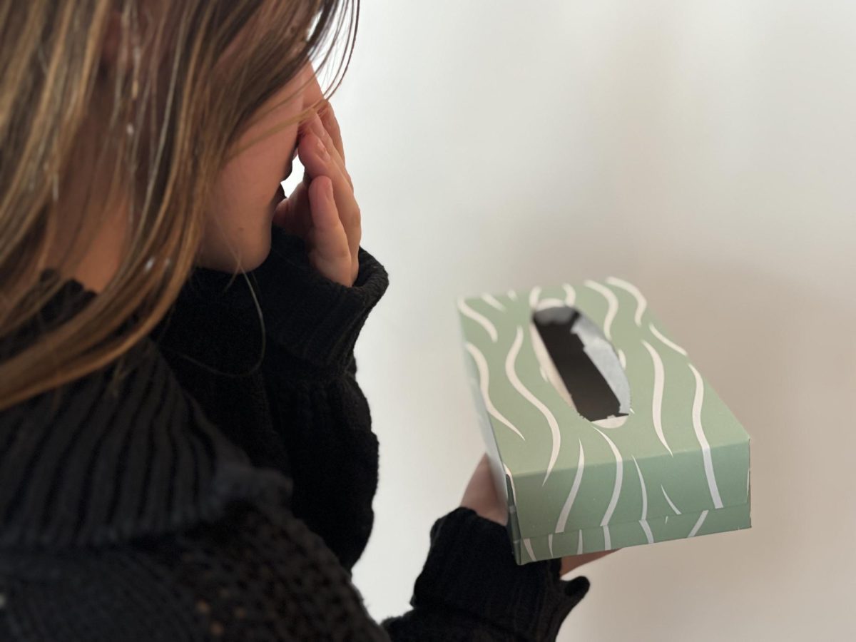 Tissues have disappeared from our school environment, leaving students to deal with runny noses and snot. 