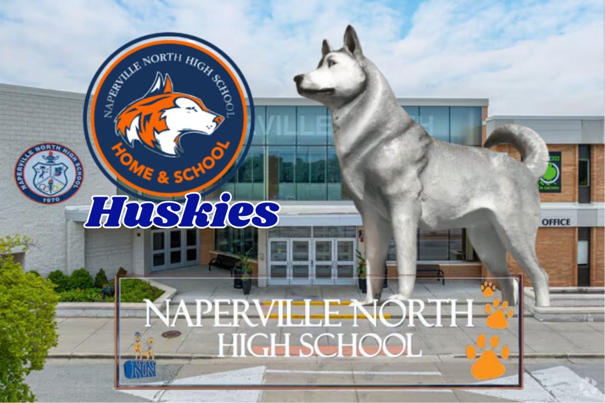 Naperville North's mascot represents the unity of the student body to work together through interests and skills.