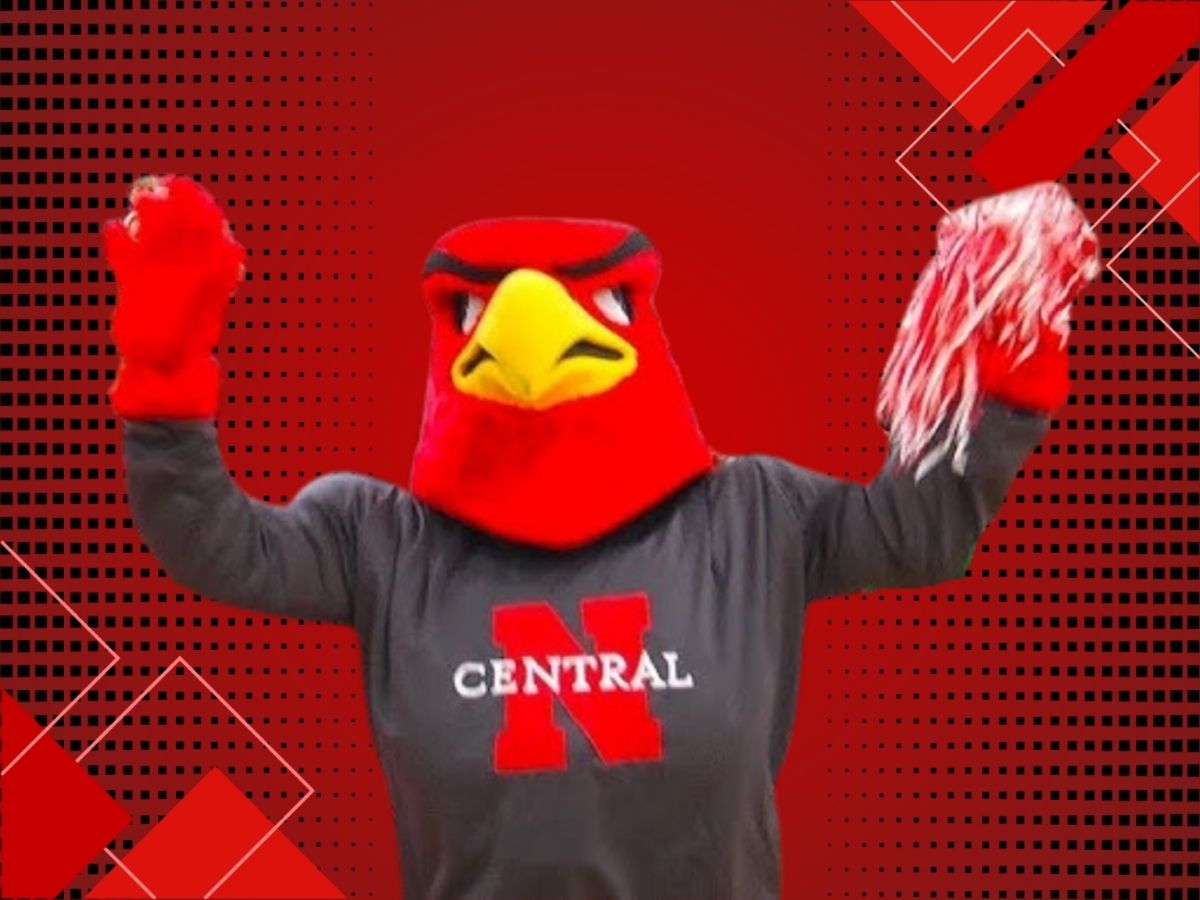 Naperville Central High School's mascot is the Redhawks.