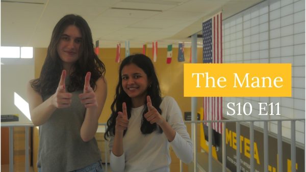 Navigation to Story: The Mane – S10 E11