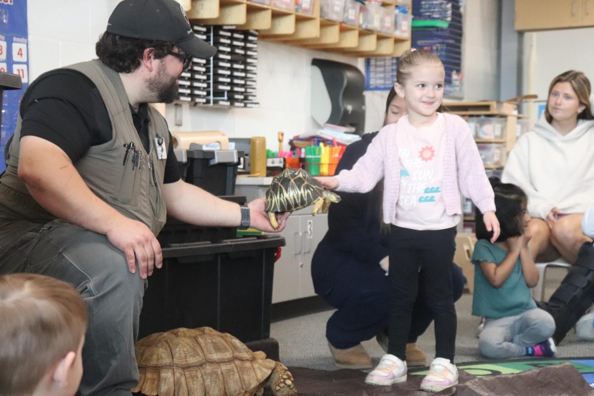 TURTLE!!!