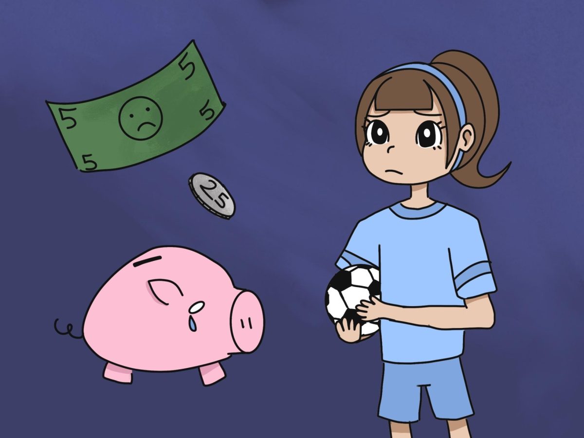 Youth sports have seen less funding in recent years, resulting in difficulties participating. 