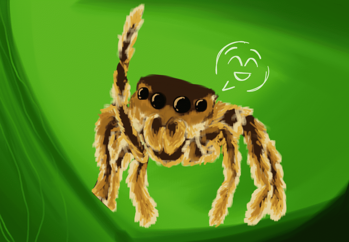 Spider eat pests and help around our home, we should treat them with respect.